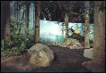 Forest Learning Center